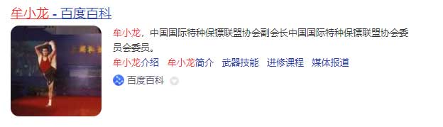 中國保鏢圖片
